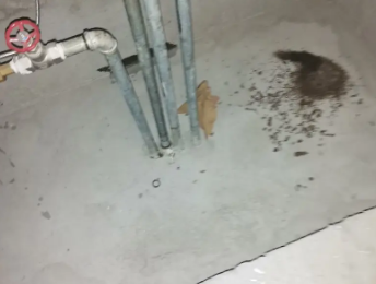 普洱市卫生间测漏水价格明细